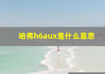 哈弗h6aux是什么意思