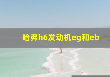 哈弗h6发动机eg和eb