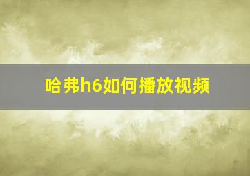 哈弗h6如何播放视频