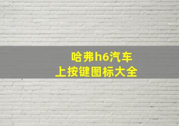 哈弗h6汽车上按键图标大全