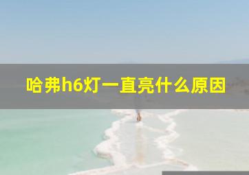 哈弗h6灯一直亮什么原因