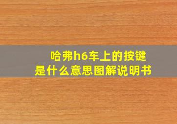 哈弗h6车上的按键是什么意思图解说明书