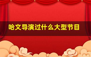 哈文导演过什么大型节目