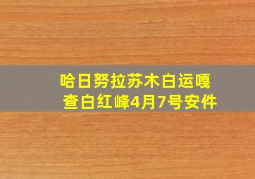 哈日努拉苏木白运嘎查白红峰4月7号安件