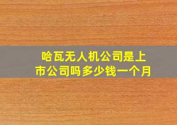 哈瓦无人机公司是上市公司吗多少钱一个月