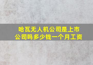 哈瓦无人机公司是上市公司吗多少钱一个月工资