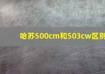 哈苏500cm和503cw区别