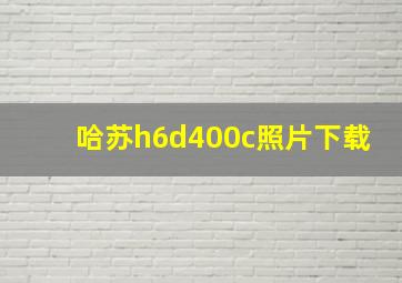 哈苏h6d400c照片下载