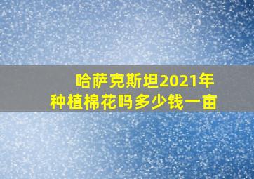 哈萨克斯坦2021年种植棉花吗多少钱一亩