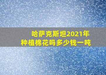 哈萨克斯坦2021年种植棉花吗多少钱一吨