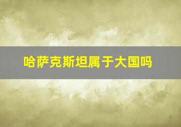 哈萨克斯坦属于大国吗