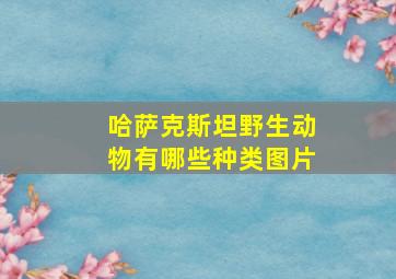 哈萨克斯坦野生动物有哪些种类图片