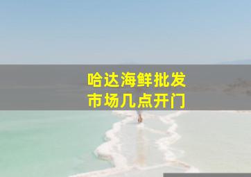 哈达海鲜批发市场几点开门