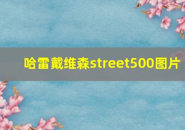 哈雷戴维森street500图片