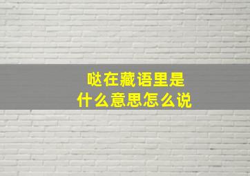 哒在藏语里是什么意思怎么说