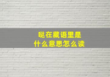 哒在藏语里是什么意思怎么读