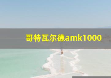 哥特瓦尔德amk1000