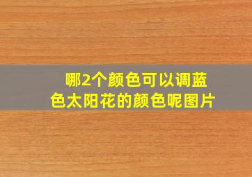 哪2个颜色可以调蓝色太阳花的颜色呢图片