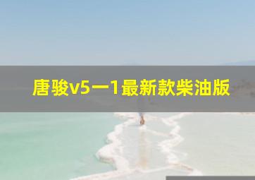 唐骏v5一1最新款柴油版