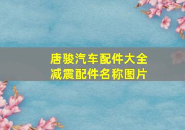 唐骏汽车配件大全减震配件名称图片