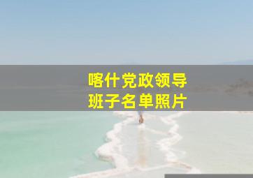 喀什党政领导班子名单照片