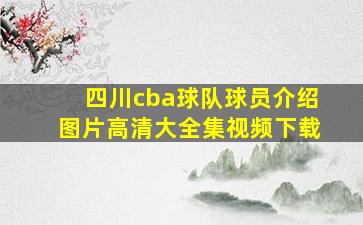 四川cba球队球员介绍图片高清大全集视频下载