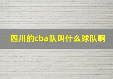 四川的cba队叫什么球队啊