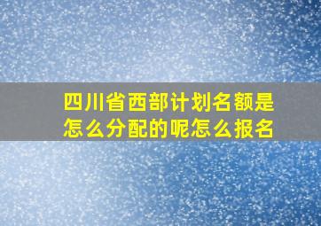 四川省西部计划名额是怎么分配的呢怎么报名