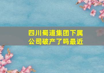 四川蜀道集团下属公司破产了吗最近