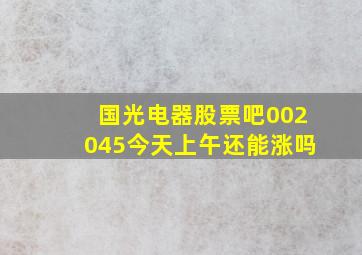 国光电器股票吧002045今天上午还能涨吗