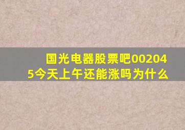 国光电器股票吧002045今天上午还能涨吗为什么