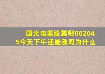 国光电器股票吧002045今天下午还能涨吗为什么