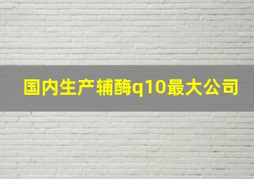 国内生产辅酶q10最大公司