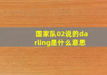 国家队02说的darling是什么意思