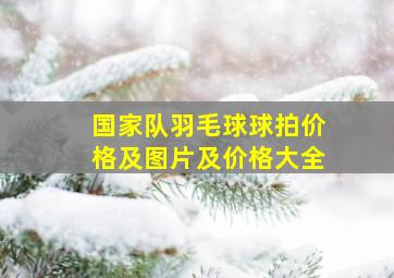 国家队羽毛球球拍价格及图片及价格大全