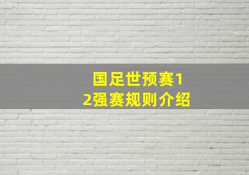 国足世预赛12强赛规则介绍