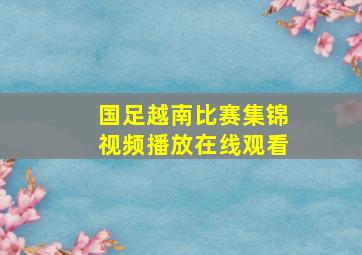 国足越南比赛集锦视频播放在线观看