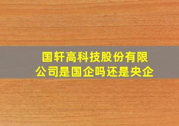 国轩高科技股份有限公司是国企吗还是央企