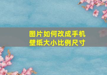 图片如何改成手机壁纸大小比例尺寸