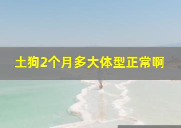 土狗2个月多大体型正常啊