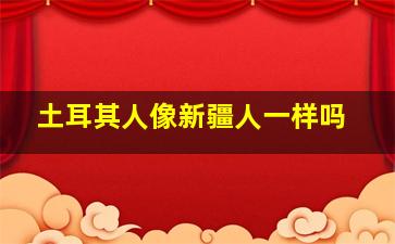 土耳其人像新疆人一样吗