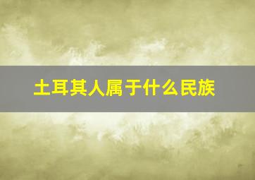 土耳其人属于什么民族