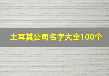 土耳其公司名字大全100个