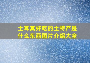 土耳其好吃的土特产是什么东西图片介绍大全