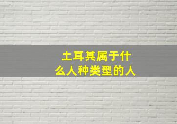 土耳其属于什么人种类型的人