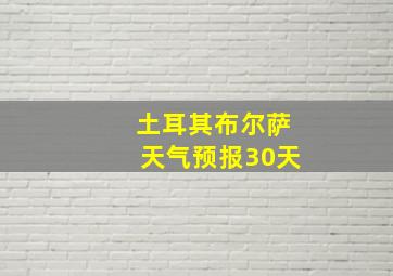 土耳其布尔萨天气预报30天