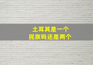 土耳其是一个民族吗还是两个