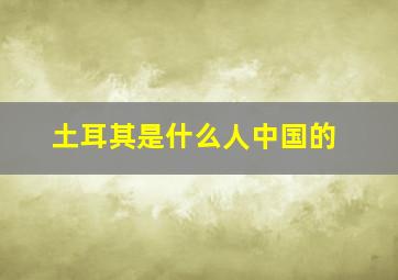 土耳其是什么人中国的