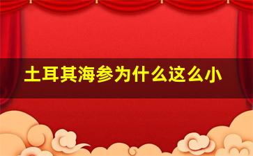 土耳其海参为什么这么小