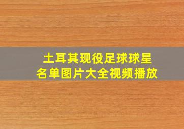 土耳其现役足球球星名单图片大全视频播放